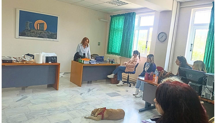 Στιγμιότυπο από την παρουσίαση της Πρωτοβουλίας στο εκπαιδευτικό κοινό